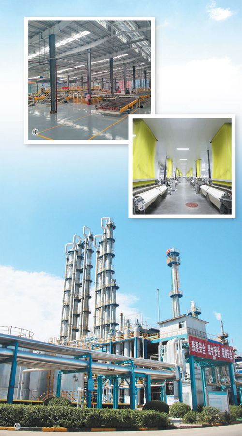 綠色轉型 綻放產業新氣象 深度觀察 深入推進新型工業化